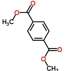 DMT picture