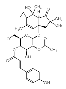 HYPOLOSIDEC structure