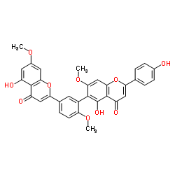 133336-96-6 structure