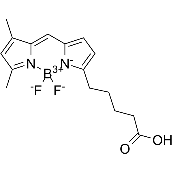 BODIPY FL C5 Structure