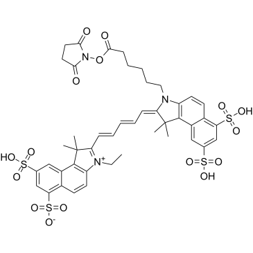 Cy5.5-SE Structure