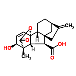 gibberellin A7 Structure