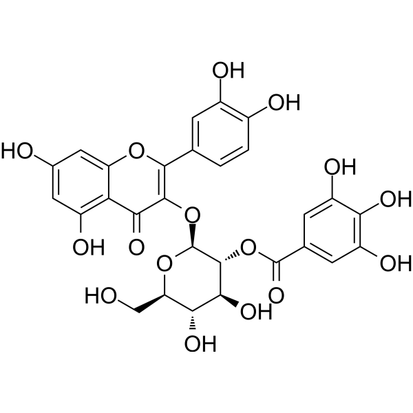 Quercetin-3-O-(2′′-O-galloyl)-β-D-glucopyranoside picture