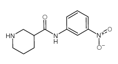 N-(3-nitrophenyl)piperidine-3-carboxamide structure