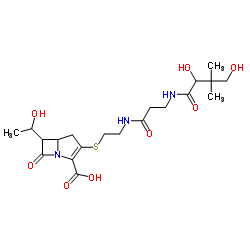 3-[(2-{[N-(2,4-Dihydroxy-3,3-dimethylbutanoyl)-β-alanyl]amino}ethyl)sulfanyl]-6-(1-hydroxyethyl)-7-oxo-1-azabicyclo[3.2.0]hept-2-ene-2-carboxylic acid Structure