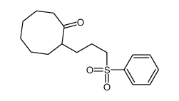 2-[3-(benzenesulfonyl)propyl]cyclooctan-1-one结构式