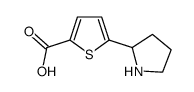 5-Pyrrolidin-2-yl-thiophene-2-carboxylic acid Structure