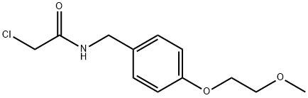 2-氯-N-{[4-(2-甲氧基乙氧基)苯基]甲基}乙酰胺结构式