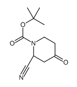 (S)-tert-butyl 2-cyano-4-oxopiperidine-1-carboxylate结构式