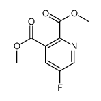 dimethyl 5-fluoropyridine-2,3-dicarboxylate picture