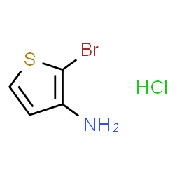 2-溴噻吩-3-胺盐酸盐图片