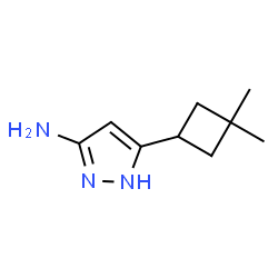 5-(3,3-二甲基环丁基)-1H-吡唑-3-胺图片