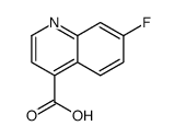 7-fluoroquinoline-4-carboxylic acid Structure