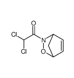 2-Oxa-3-azabicyclo[2.2.1]hept-5-ene, 3-(dichloroacetyl)- (9CI)结构式