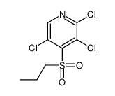 2,3,5-trichloro-4-(propylsulphonyl)pyridine Structure