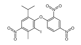 DNP-INT structure