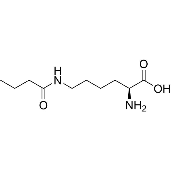 N6-丁酰基-L-赖氨酸结构式