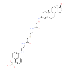 testosterone-cysteamine-DANS picture