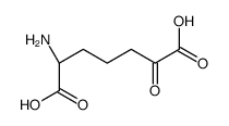 alpha-amino-epsilon-keto-pimelic acid结构式