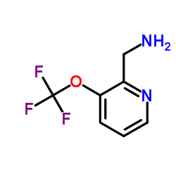 3-(Trifluoromethoxy)-2-pyridineMethanamine Structure