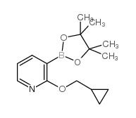 2-(环丙基甲氧基)-3-(4,4,5,5-四甲基-1,3,2-二氧硼烷)-吡啶图片