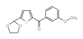 5-(1,3-DIOXOLAN-2-YL)-2-(3-METHOXYBENZOYL)THIOPHENE图片