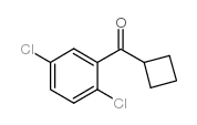 CYCLOBUTYL 2,5-DICHLOROPHENYL KETONE图片