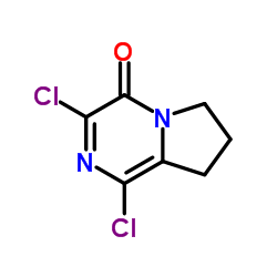 1,3-dichloro-7,8-dihydro-pyrrole[1,2-a]pyrazin-4(6H)-one picture