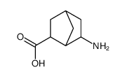 Bicyclo[2.2.1]heptane-2-carboxylic acid, 6-amino- (9CI) Structure