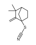 Thiocyanic acid, (1R,4R)-3,3-dimethyl-2-methylenebicyclo[2.2.1]hept-1-yl ester (9CI)结构式