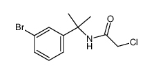 N-[1-(3-bromo-phenyl)-1-methyl-ethyl]-2-chloro-acetamide结构式