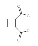 cyclobutane-1,2-dicarbonyl dichloride structure