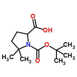 Boc-5,5-dimethyl-DL-Pro-OH Structure