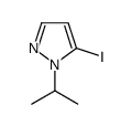 5-Iodo-1-isopropylpyrazole picture