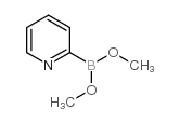 Pyridine-2-boronic acid dimethyl ester structure