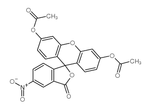 (6'-acetyloxy-5-nitro-3-oxospiro[2-benzofuran-1,9'-xanthene]-3'-yl) acetate picture