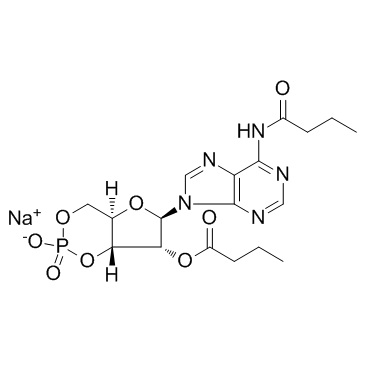 Bucladesine (sodium salt) Structure