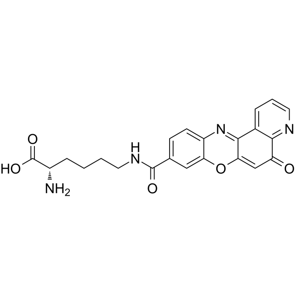 Topoisomerase IIα-IN-2 Structure