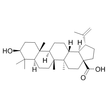 Betulinic acid Structure