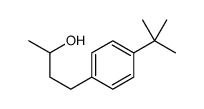 4-(4-tert-butylphenyl)butan-2-ol结构式