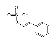 (pyridin-2-ylmethylideneamino) hydrogen sulfate Structure