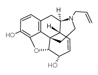 62-67-9结构式