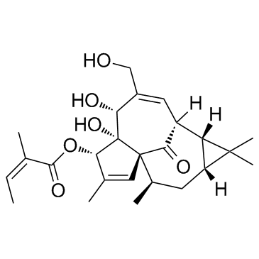 丁烯英酯结构式