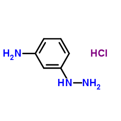 1295576-13-4 structure