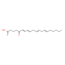 4-amino-3-S-glutathionylphenol structure