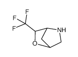 Rel-3-(trifluoromethyl)-2-oxa-5-azabicyclo[2.2.1]heptane Structure