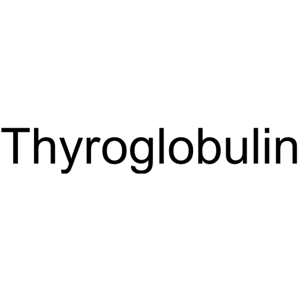 thyroglobulin, human Structure