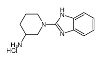 1-(1H-Benzoimidazol-2-yl)-piperidin-3-ylamine hydrochloride structure