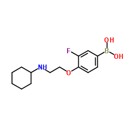 (4-(2-(cyclohexylamino)ethoxy)-3-fluorophenyl)boronic acid Structure