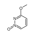 3-Methoxypyridazine 1-oxide picture